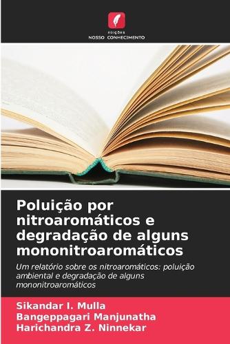 Poluição por nitroaromáticos e degradação de alguns mononitroaromáticos