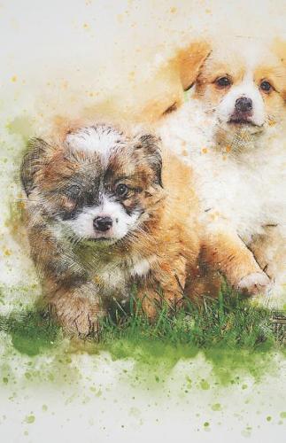 2019-2020 Academic Planner Weekly and Monthly Friendly Dogs