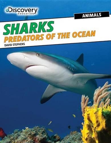 Sharks: Predators of the Ocean