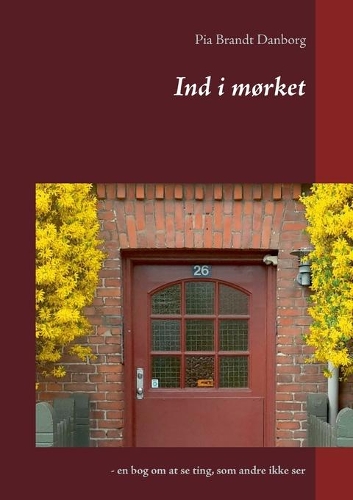 Ind i mørket: - en bog om at se ting, som andre ikke ser