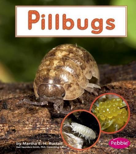 Pillbugs: (Watch It Grow)