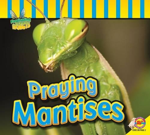 Praying Mantises