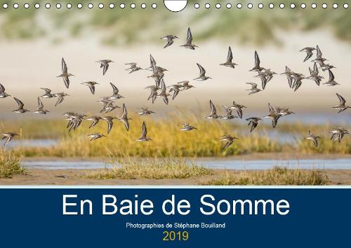 En Baie de Somme 2019: Les paysages de la Baie de Somme toute l'année !(Calvendo Places)
