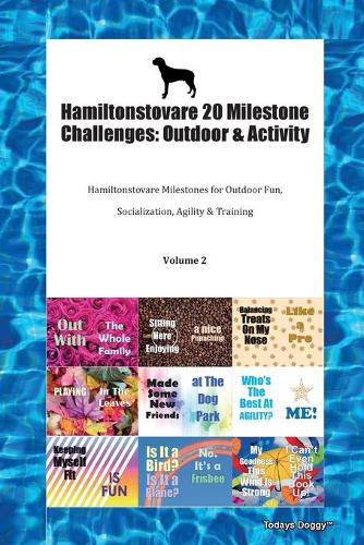 Hamiltonstovare 20 Milestone Challenges