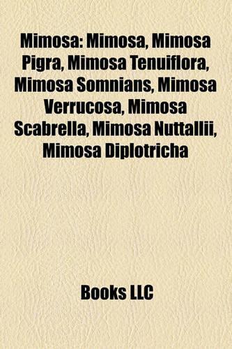 Mimosa