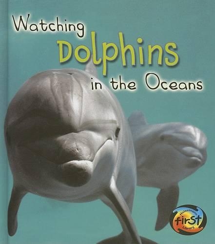 Watching Dolphins in the Oceans