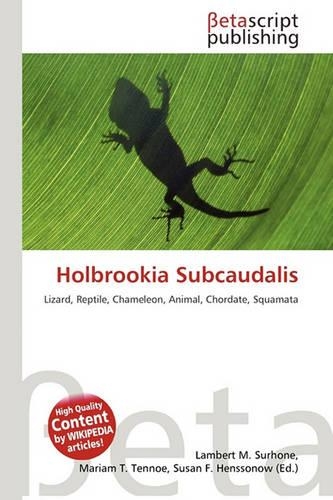 Holbrookia Subcaudalis