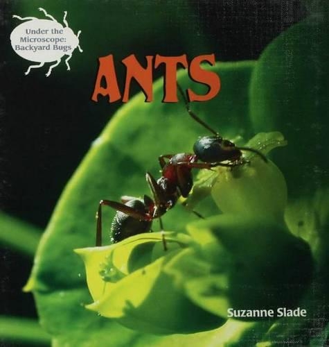 Ants