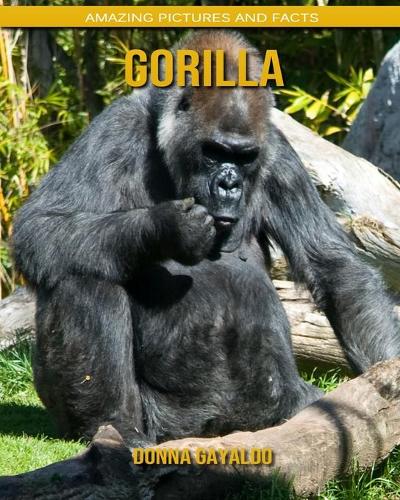 Gorilla