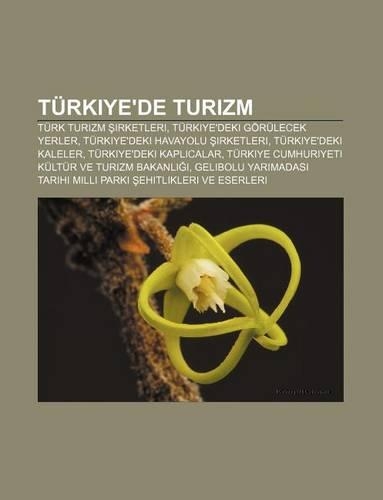 Turkiye'de Turizm