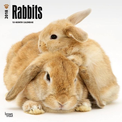 Rabbits 2018 Wall Calendar