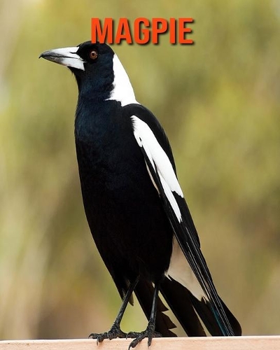 Magpie