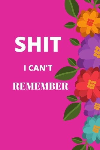 Shit I Can't Remember