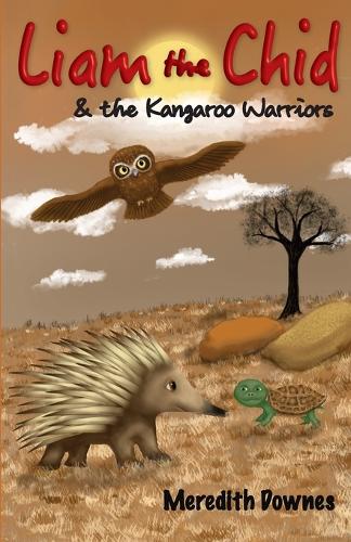 Liam the Chid and the Kangaroo Warriors: (1 Liam the Chid)