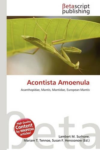 Acontista Amoenula