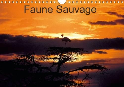 Faune Sauvage 2017: Voyage Initiatique, Dans les Regions les Plus Sauvages au Monde(Calvendo Animaux)