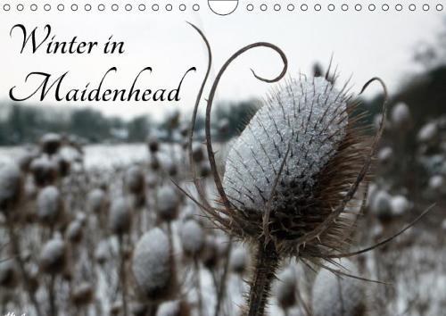 Winter in Maidenhead 2018