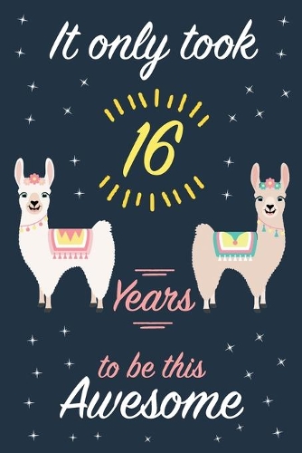 It Only Took 16 Years to be this Awesome