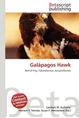 Galapagos Hawk