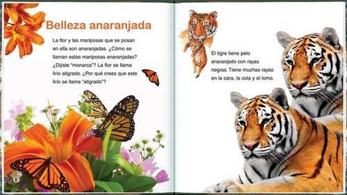 Observar la Naturaleza