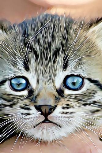 Drawing of a Sweet Little Striped Tabby Kitten Illustration Art Journal