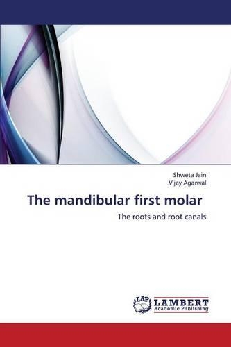 The Mandibular First Molar