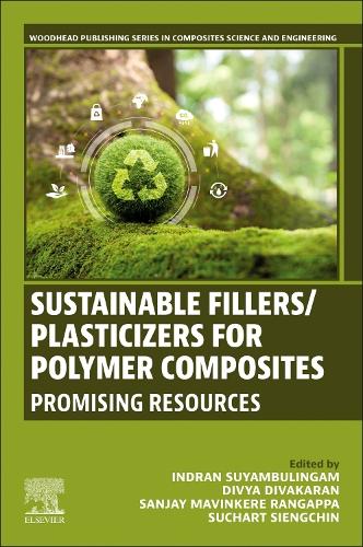 Sustainable Fillers/Plasticizers for Polymer Composites: Promising Resources(Woodhead Publishing Series in Composites Science and Engineering)
