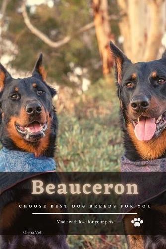 Beauceron