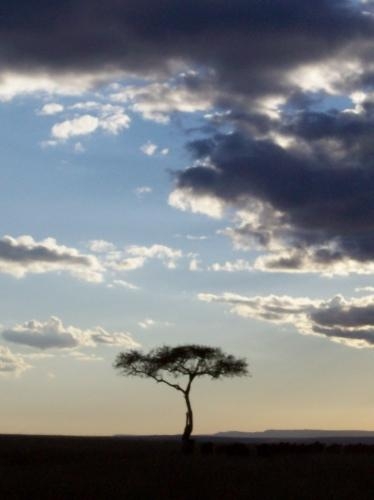 A Time for Every Purpose Under Heaven