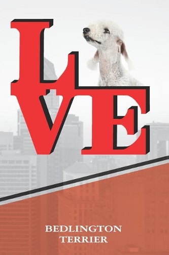 Bedlington Terrier
