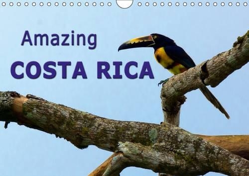 Amazing Costa Rica 2017: Amazing Wildlife in Costa Rica, the Destination for Nature Lovers(Calvendo Nature)