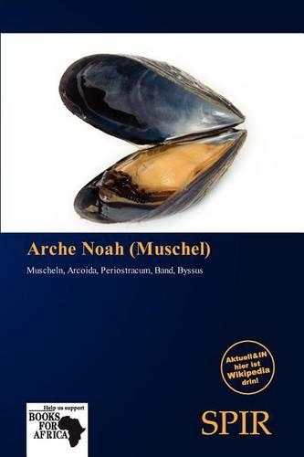Arche Noah (Muschel)