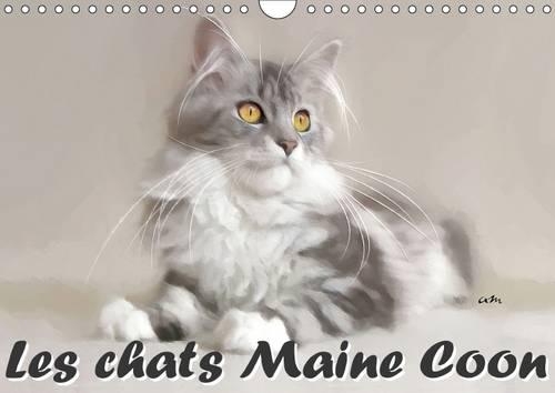 Les Chats Maine Coon 2017