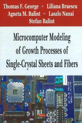 Microcomputer Modeling of Growth Processes of Single-Crystal Sheets & Fibers