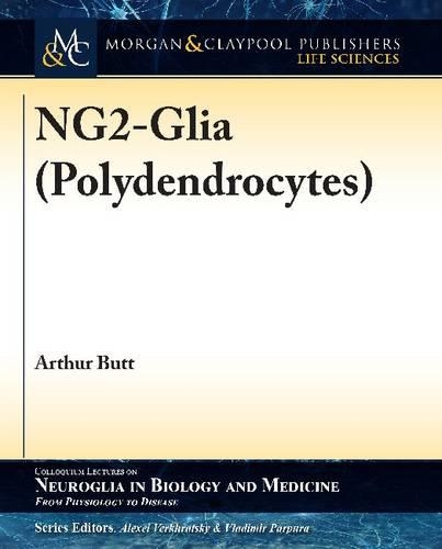 NG2-Glia (Polydendrocytes)