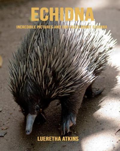 Echidna