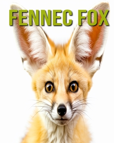 Fennec Fox