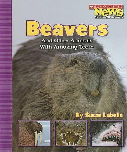 Beavers and Other Animals with Amazing Teeth