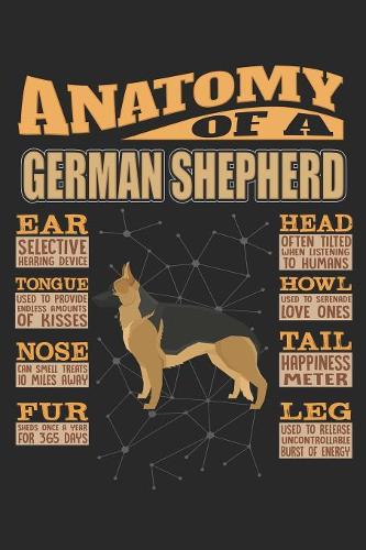 Anatomy Of A German Shepherd