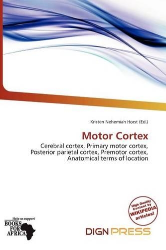 Motor Cortex