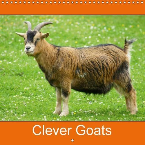 Clever Goats 2016