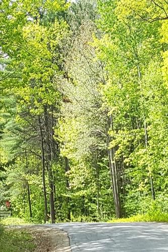 2020 Weekly Planner Springtime Country Road 134 Pages