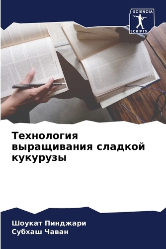 Технология выращивания сладкой кукурузы