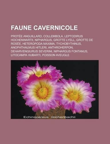 Faune Cavernicole: Protee Anguillard, Collembola, Leptodirus Hochenwartii, Niphargus, Grotte Lyell, Grotte de Rosee, Heteropoda Maxima, Tychobythinus, Anophthalmus Hit(French)