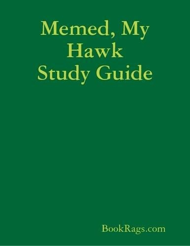 Memed, My Hawk Study Guide