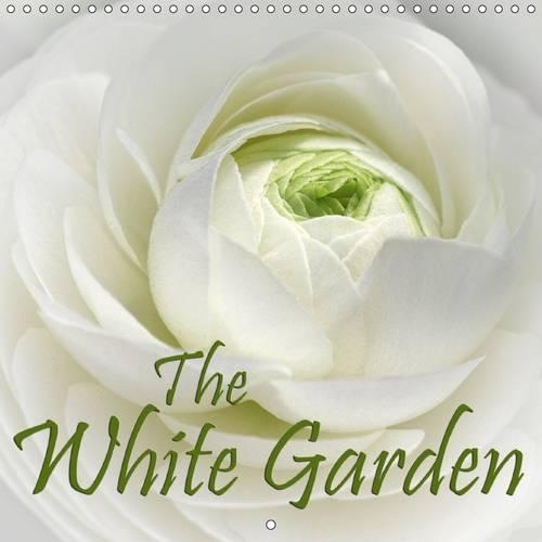 The White Garden 2016: Classic and contemporary white flowers(Calvendo Nature)