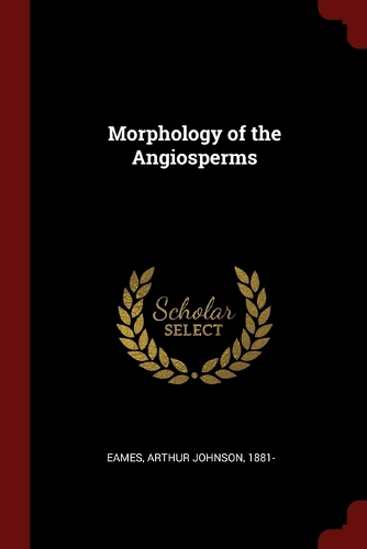 Morphology of the Angiosperms