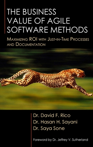 The Business Value of Agile Software Methods: Maximizing ROI with Just-in-Time Processes and Documentation