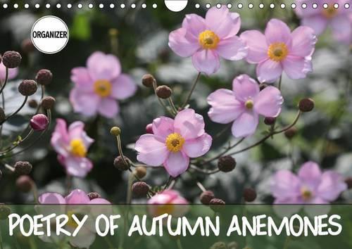 Poetry of Autumn Anemones 2017: A Potpourri of the Delicate Late Summer Flower(Calvendo Nature)