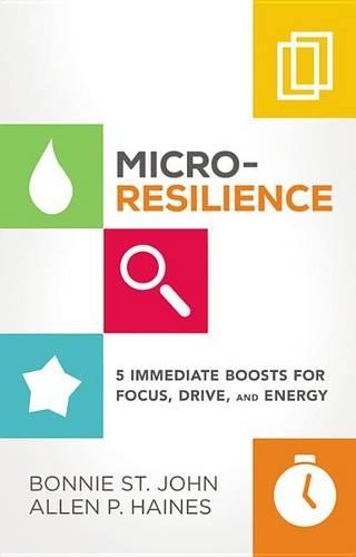 Micro-Resilience Lib/E